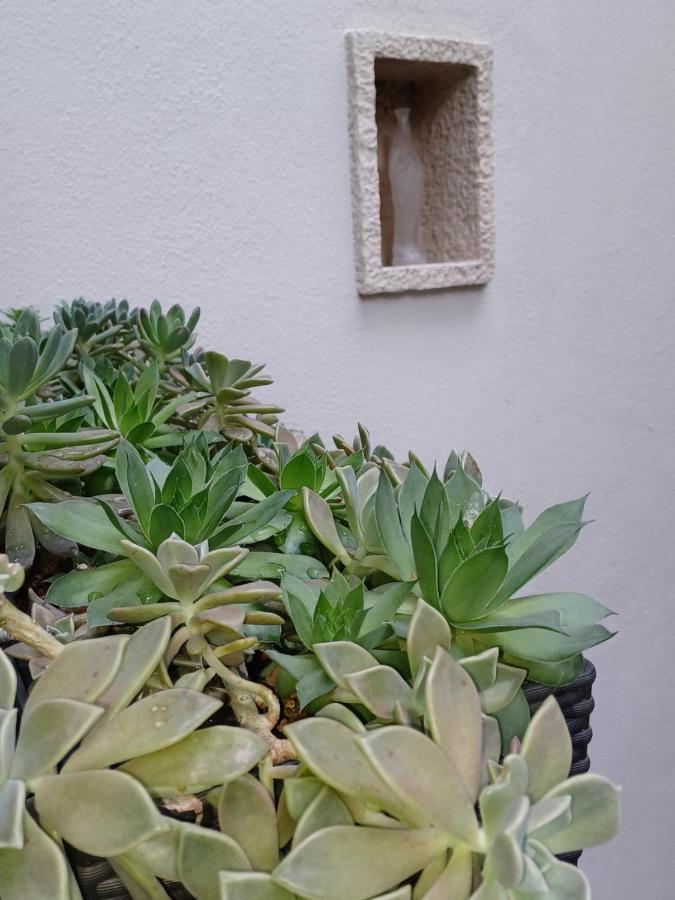 Monnalisa House Apartman Malcesine Kültér fotó