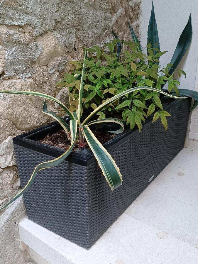 Monnalisa House Apartman Malcesine Kültér fotó